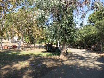 Enlarge photo 8