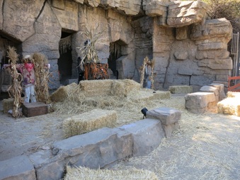Enlarge photo 13