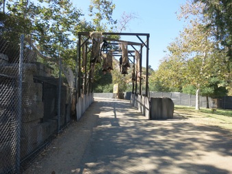 Enlarge photo 15