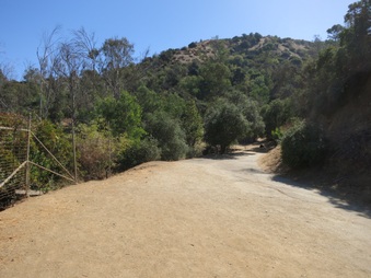 Enlarge photo 25