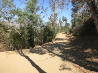 Enlarge photo 29
