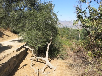 Enlarge photo 30