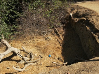 Enlarge photo 31