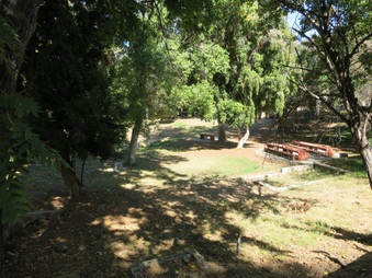 Enlarge photo 44