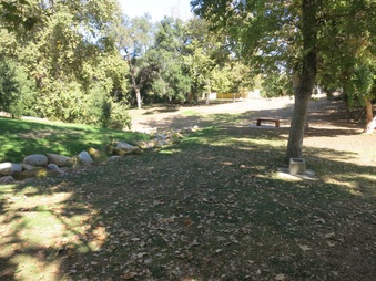 Enlarge photo 45