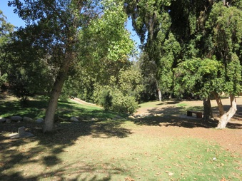 Enlarge photo 46