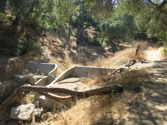 Enlarge photo 52