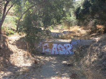 Enlarge photo 53