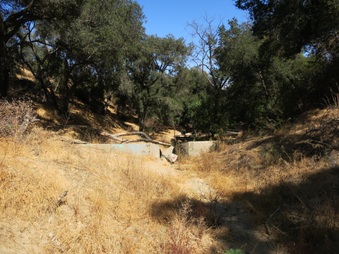 Enlarge photo 54