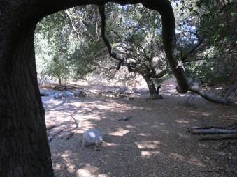 Enlarge photo 62