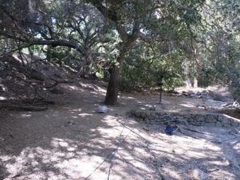 Enlarge photo 63