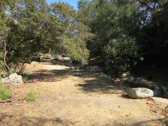Enlarge photo 65