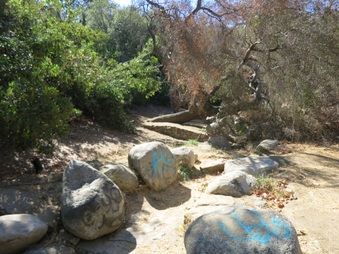 Enlarge photo 66