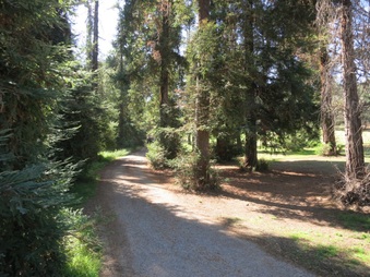 Enlarge photo 2