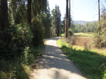 Enlarge photo 6