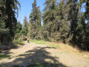 Enlarge photo 7