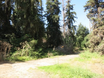 Enlarge photo 8