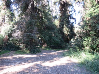 Enlarge photo 10