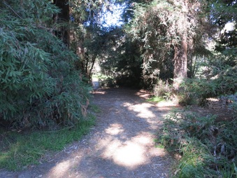 Enlarge photo 11