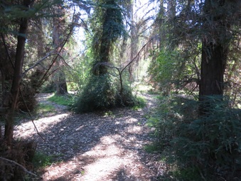 Enlarge photo 13