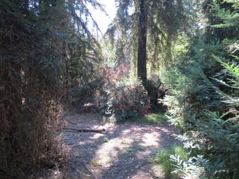Enlarge photo 14