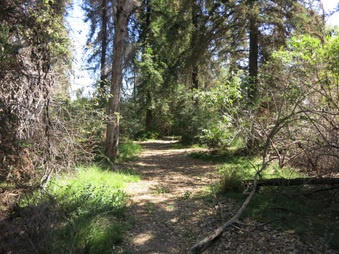 Enlarge photo 15