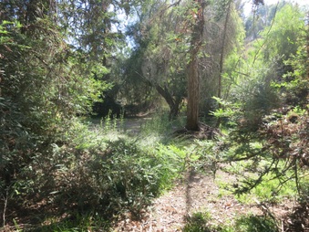 Enlarge photo 16