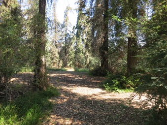 Enlarge photo 17