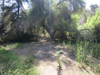 Enlarge photo 18