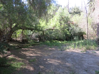 Enlarge photo 19