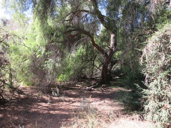 Enlarge photo 20