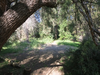 Enlarge photo 21
