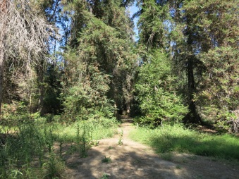 Enlarge photo 22