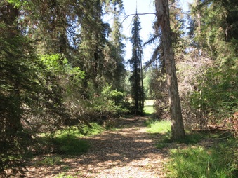 Enlarge photo 23