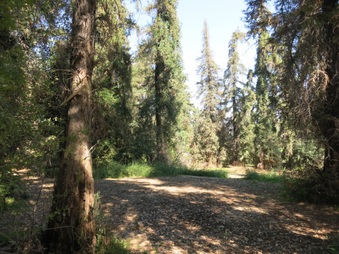 Enlarge photo 24
