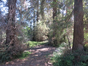 Enlarge photo 25