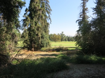 Enlarge photo 26