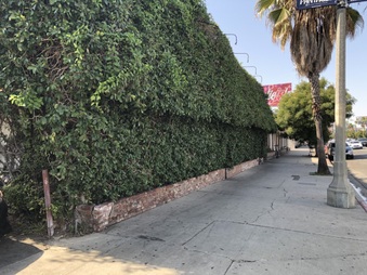 Firefly ( Studio City )