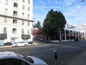 Enlarge photo 7