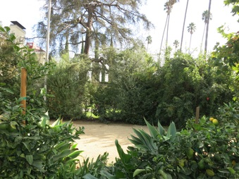 Enlarge photo 13
