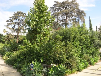 Enlarge photo 14