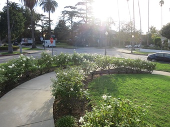 Enlarge photo 14
