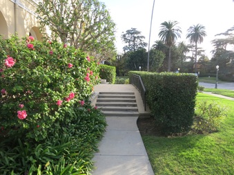 Enlarge photo 20