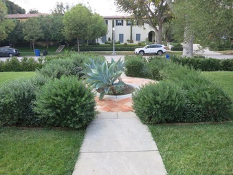 Enlarge photo 13