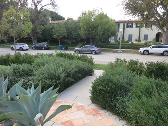 Enlarge photo 14