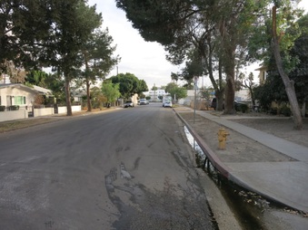Enlarge photo 14