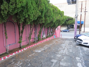 Enlarge photo 13