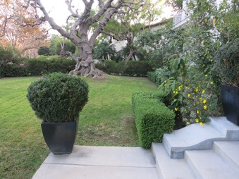 Enlarge photo 13