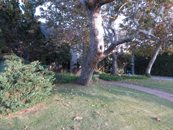 Enlarge photo 2
