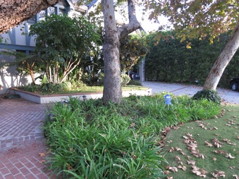 Enlarge photo 10